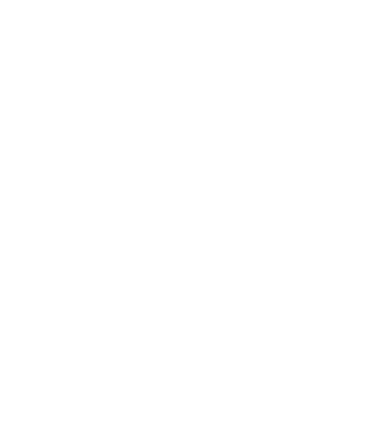 Firestoke Logo